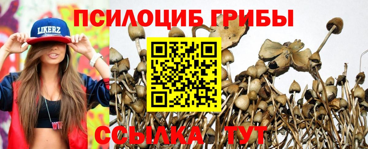 Псилоцибиновые грибы MAGIC MUSHROOMS Абинск